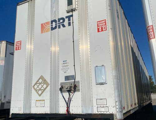 Great Dane Paquetera